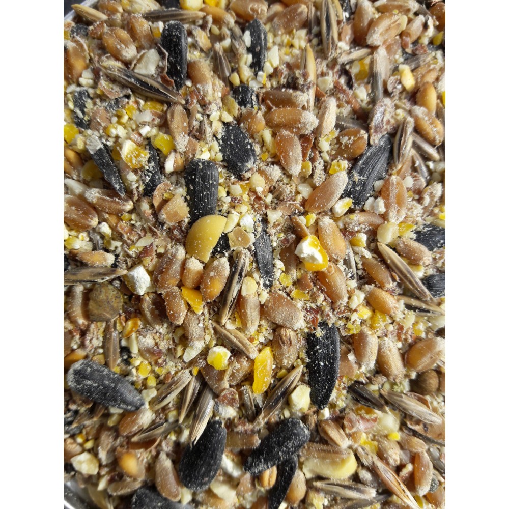 Graines pour oiseaux sans OGM origine Bretagne 5kg - Cot Cot House